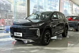 空间较大的中型SUV，配置不错，价格实惠，实拍星途凌云图片