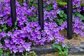 羽泉17年，不同的选择，不同的人生再也不会有共同的交点图片