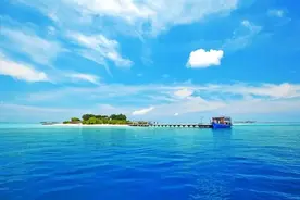 小学语文30个俗语解释+造句，果断收藏！图片