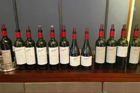 最新最全|1分钟奔富全系列酒款讲解，强烈建议收藏！图片