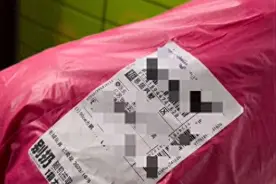 惊爆！京东网店恶意欺骗！2799元电动车竟然变成大白鹅玩具！图片
