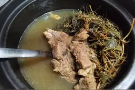 雷公根龙骨汤，清热解毒，利湿消肿图片