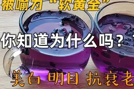 黑枸杞你不知道的那些事，吃法正确，选对枸杞，才能事半功倍图片