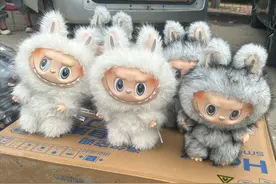 实探衡水盗版LABUBU大集，最便宜的七八元！当地市监局回应图片