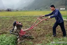 农村集体经济组织：“一亩三分地”的局限性图片