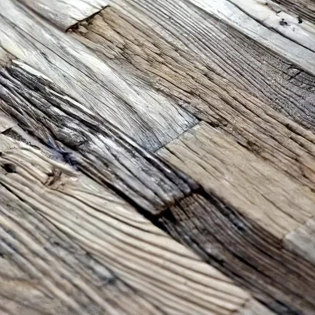 BLSI | ʦر10ľ֪ʶ