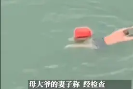 七旬大爷航道游泳被螺旋桨绞中，下体断裂，网友：应该庆幸还活着图片