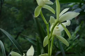 你知道第五套人民币上的图案都是什么吗？图片