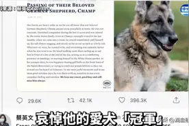 无比心痛！可怜的团团被实施安乐死，愿天堂没有病痛图片