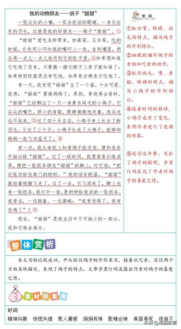 海韵教育丨小学语文四年级（下册）单元同步教材写作指导及范文