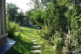 不用除草剂如何彻底清除庭院杂草，9种方法，看看哪种方法有效？图片