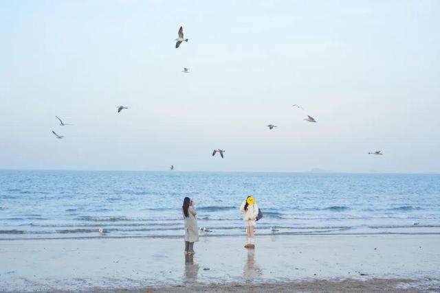 十二月好去处丨雪雪雪！烟台即将美成仙境