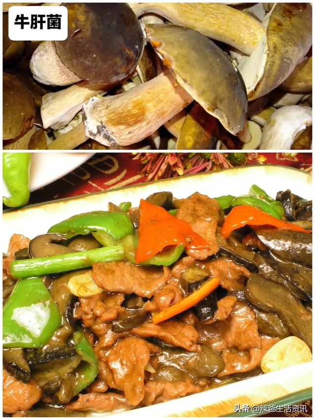 12种“常见的蘑菇”，你都吃过吗？附：经典做法，请收藏