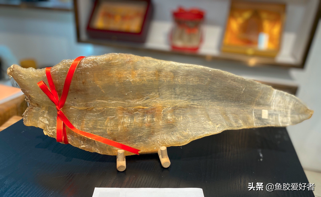 安南鱼胶与北海鱼胶哪个品种好 安南鱼胶和北海鱼胶 那种好