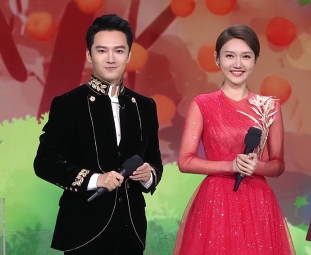 龙洋老公是谁 个人资料,央视主播龙洋:从湖南走出的央视才女,32岁却仍