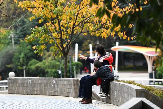 南明区：初冬时节好风景