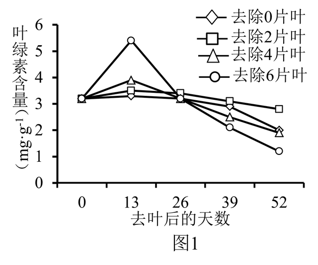高中生物-细胞代谢
