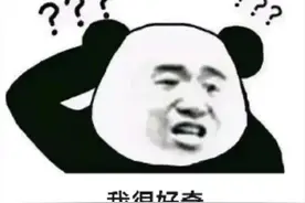 神评∶我很好奇你们谈恋爱都聊啥图片