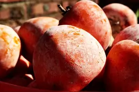 第一个成功推动使用“一斤十两”的人，来自广州以“柿”闻名乡村图片