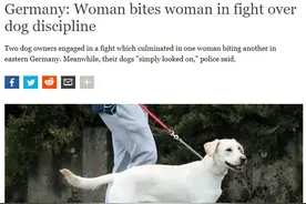 德国两铲屎官因狗狗教育问题争吵打斗，而狗子，在旁看起了热闹图片