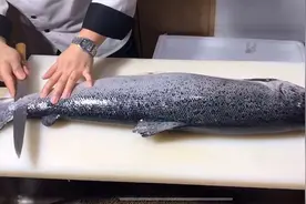 讨厌三文鱼的进！带你轻松抗老图片