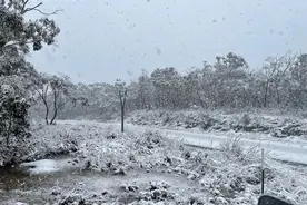 澳洲秒入冬, 体感0度! 多地降雪三重威胁恐集体爆发, 今年冬天危险了图片