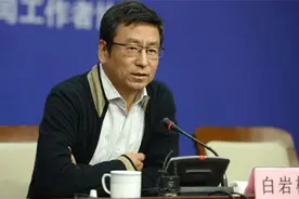 王朔评价白岩松：骨子里的做作，白岩松说我绝不还嘴，除非骂我妈图片