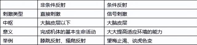 高中生物-人体内环境稳态的生理意义及调节