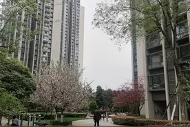 16岁少女偷外卖获小区居民捐款 初二辍学打工遇疫情没有工资图片