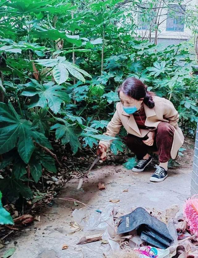 四川省民生研究会新媒体中心-官网