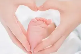 试管婴儿之路图片