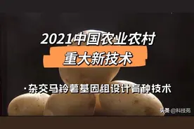 2021中国农业农村重大新技术 | 杂交马铃薯基因组设计育种技术图片