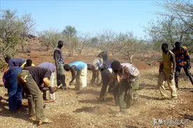 非洲那么多肥沃的土地，为何非洲人宁愿饿死也不种庄稼？图片
