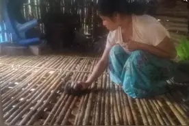 无语至极！缅甸难民营女性贴身衣物短缺，一些女孩遭男子调侃图片