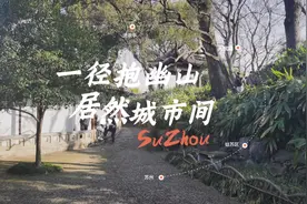 沧浪亭中隐隐于市肆：做不到的大隐小隐图片