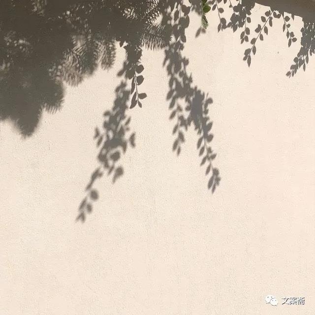 那些能让人心情大好的朋友圈沙雕文案,收藏起来随时用