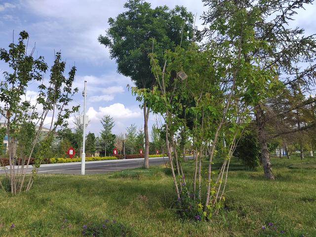 为什么普通人做自媒体很难