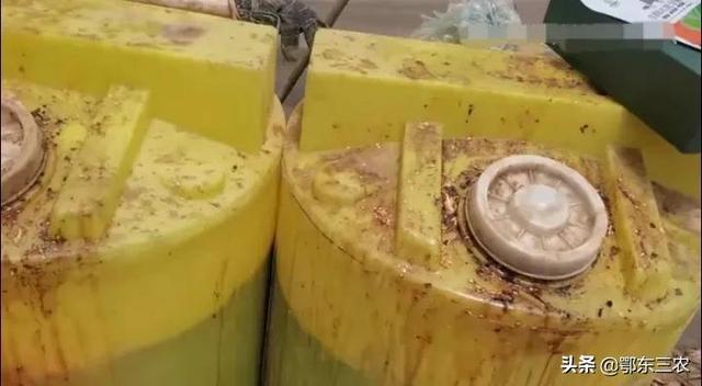 农户种瓜果蔬菜，自制酵素肥，比购买的同类肥料品质要高很多