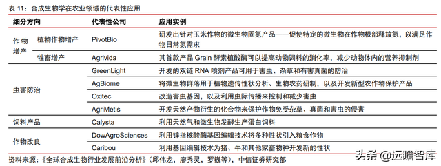 颠覆传统，合成生物：迎来历史发展机遇，乘势而起，引领未来