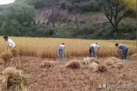生产队记忆：“三提五统”究竟是怎么回事？答案在这里图片