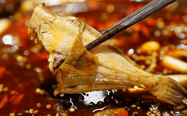 ���������������ζ2022�������������׽������������ѡ���ʼ��