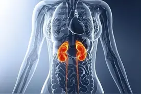 注意啦！来看看这5个肾精亏耗的症状，你“中”了吗？图片