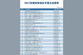 安徽第一大制造企业：打败奇瑞、科大讯飞，营收超过2600亿元图片