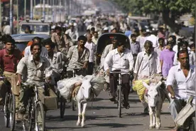 为什么印度搞基建难如登天？韩国企业呆了12年，最后夹着尾巴走了图片