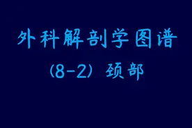 图示集‖外科解剖学图谱(8-2)颈部图片