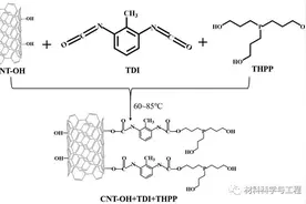 温州大学《Angew》：更厉害的碳纳米管图片
