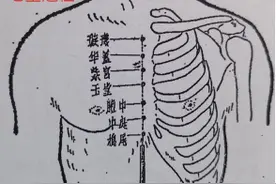 秘法针灸三十六（五）··七星通任图片