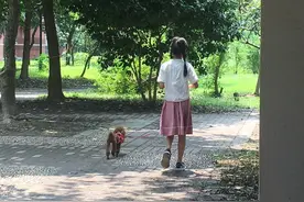 1楼、2楼和顶楼，到底该选哪一个图片