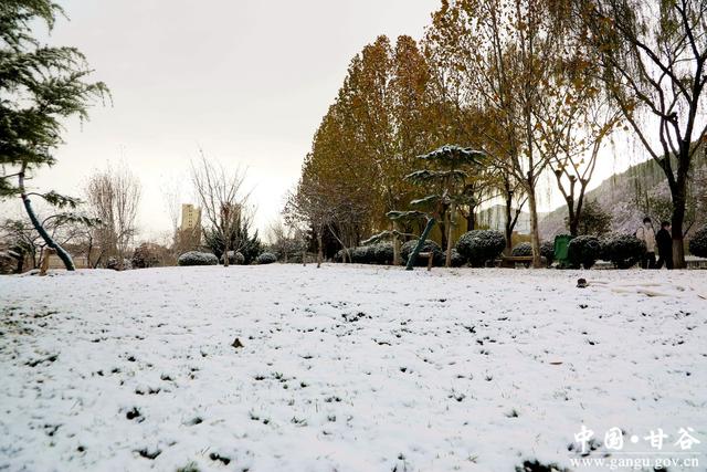 【美丽甘谷】雪落大像山！千年名山裹银纱 尽显冬日韵致