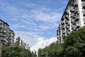 县城相亲图鉴：高学历女孩被剩下，有弟弟是最大扣分项；体制内外基本不通婚；男公务员和女老师是最佳组合图片